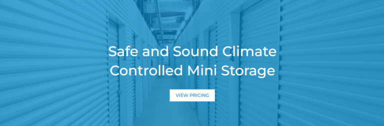 Screenshot 2025 02 08 123443 768x253